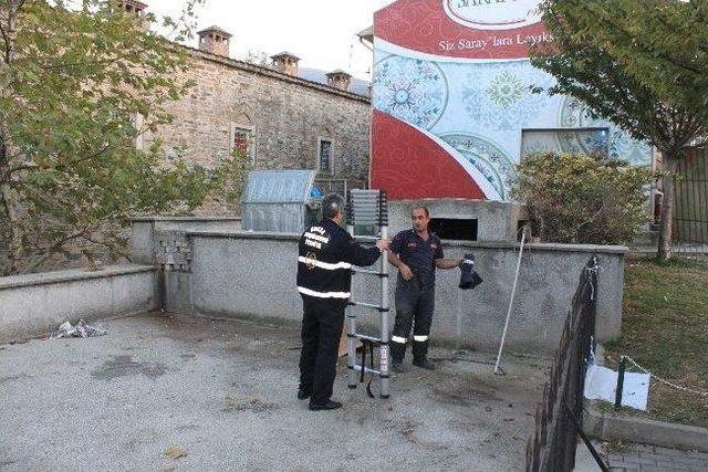 Yavru Kedi İ&ccedil;in Tehlikeli Operasyon...(&ouml;zel Haber) 1