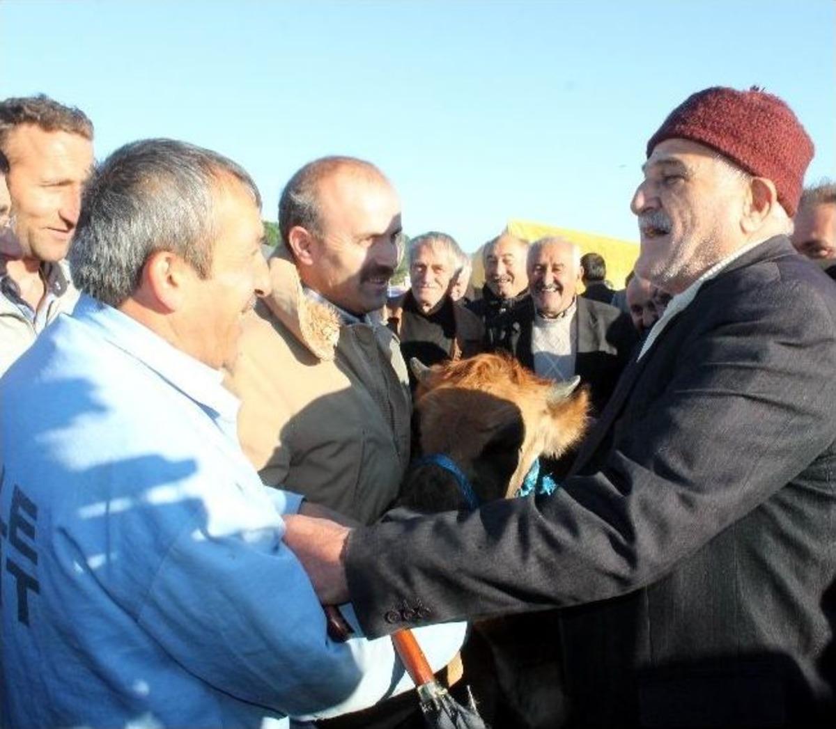 Ordu&rsquo;da Karadeniz Usul&uuml; Kurban Pazarlığı