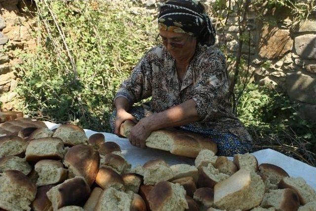 Şimdi Peksimet Zamanı