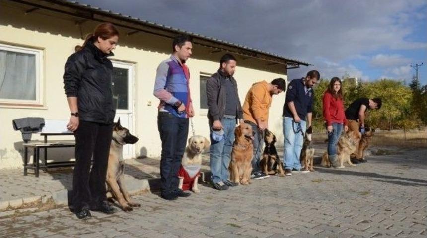 Kırıkkale &Uuml;niversitesi'nde K&ouml;pek Eğitim Kursu A&ccedil;ıldı