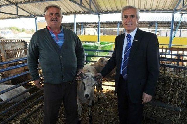 Yasak Yerde Kurban Kesene Ceza 1