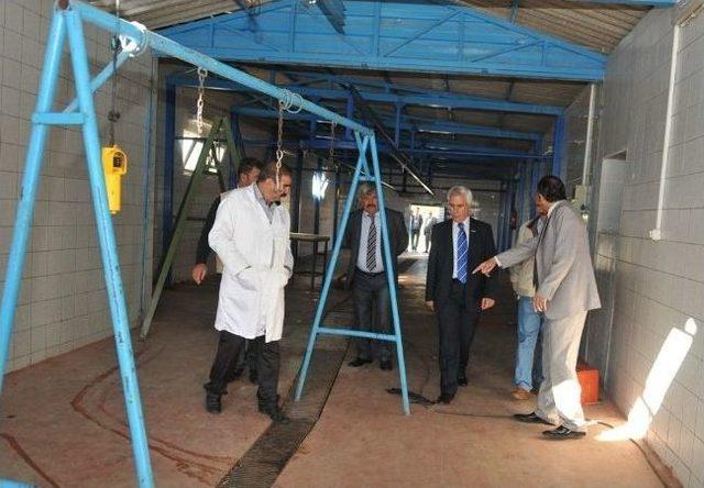 Nil&uuml;fer Kurban Bayramına Hazır 2