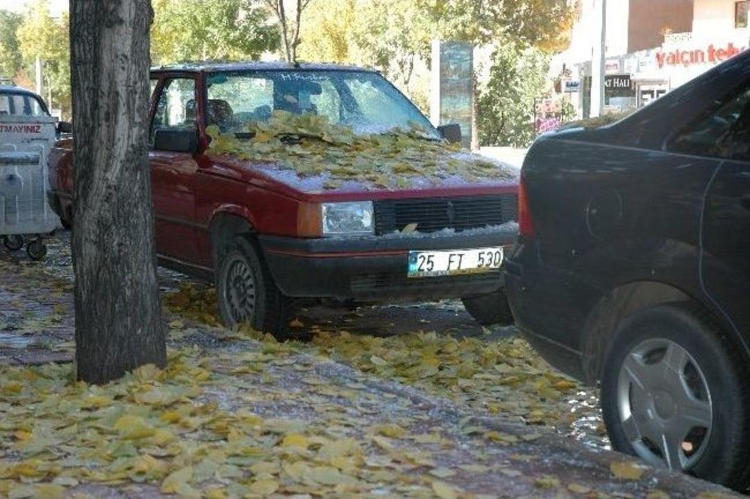 Sonbahar Yapraklarının Karla Vuslatı