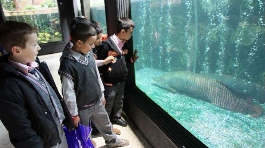 &Ouml;ğrencilere Hayvanat Bah&ccedil;esi Gezisi