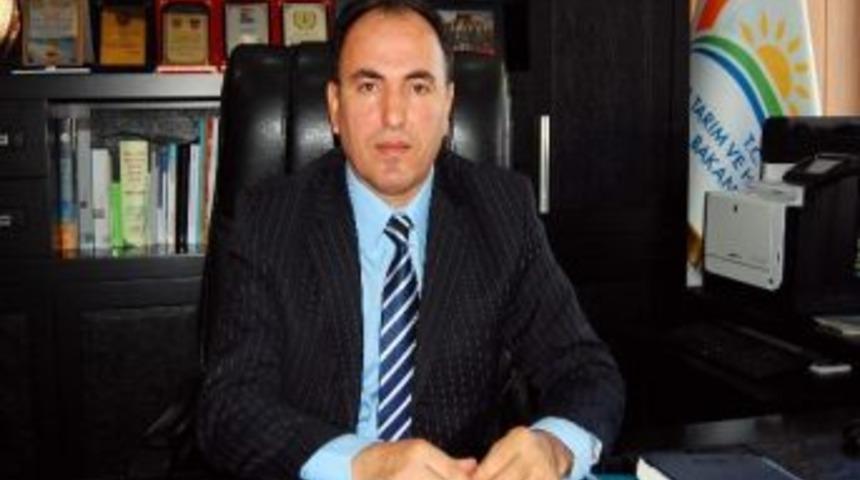 Yağlı Tohum Desteklemeleri Hasattan Hemen Sonra Verilecek