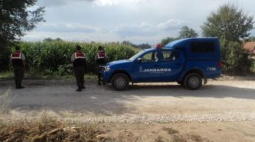 Jandarmadan Narkotik Denetimi