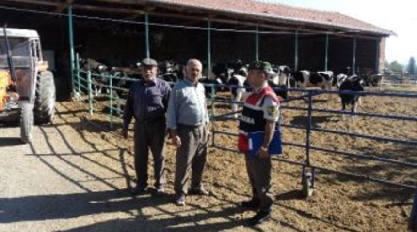 Jandarmadan Hayvan Hırsızlıklarına Karşı Uyarı