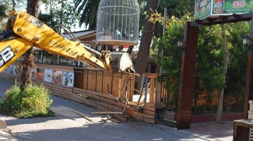 Mudanya&rsquo;da &Ccedil;ay Bah&ccedil;eleri Yıkılıyor