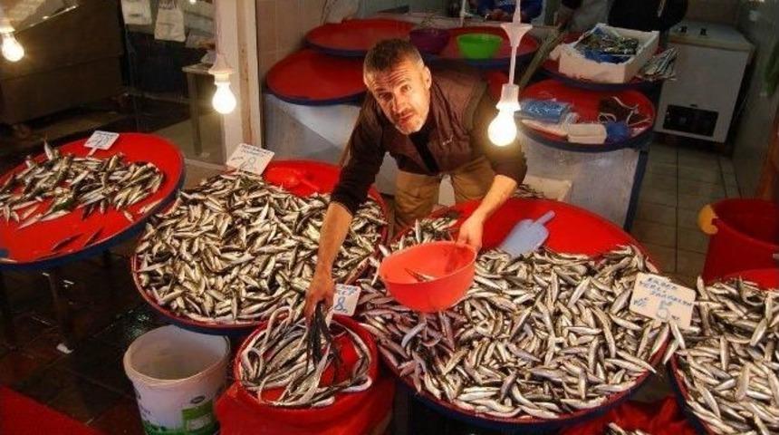 (&ouml;zel Haber) Ucuzlayan Balık &Ouml;ğrencilerin G&ouml;zdesi Oldu