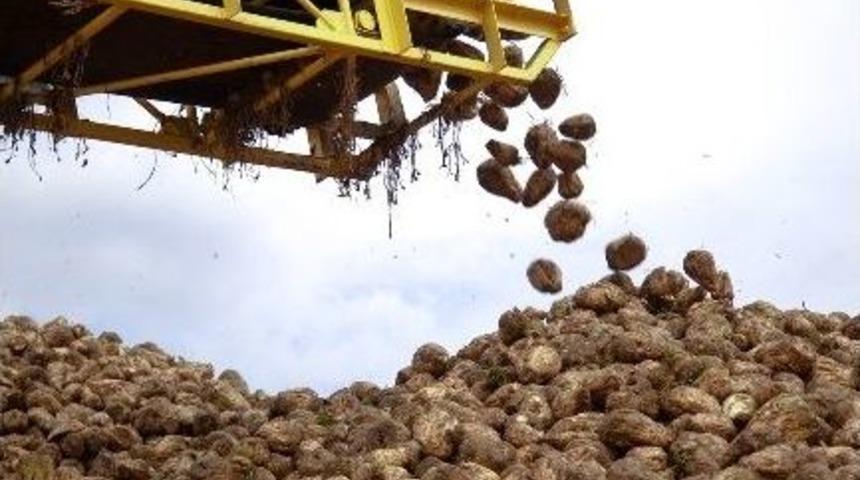 Kayseri Şeker&rsquo;den &Ccedil;ift&ccedil;iye Bayram M&uuml;jdesi