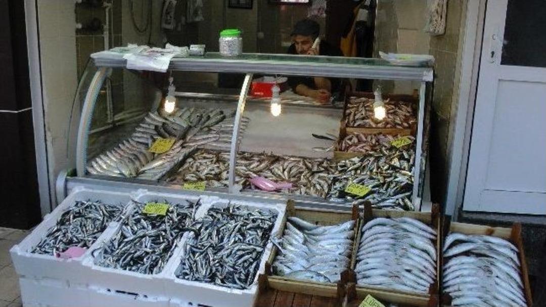 Karadeniz'de L&uuml;fer Bolluğu