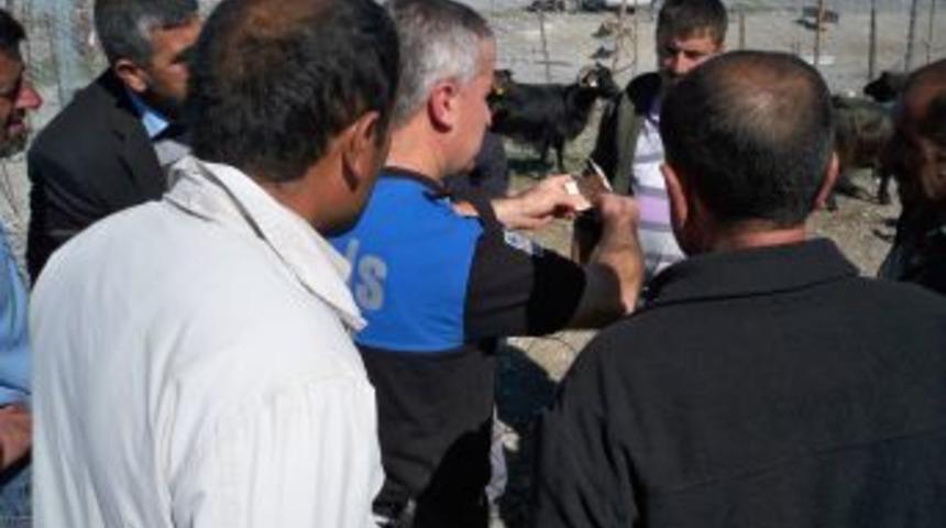 Polis, Kurbanlık Satanları Dolandırıcılara Karşı Uyardı