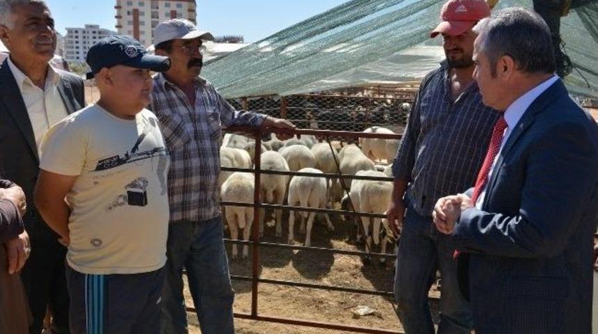 Konyaaltı, Kurban Bayramı&rsquo;na Hazır