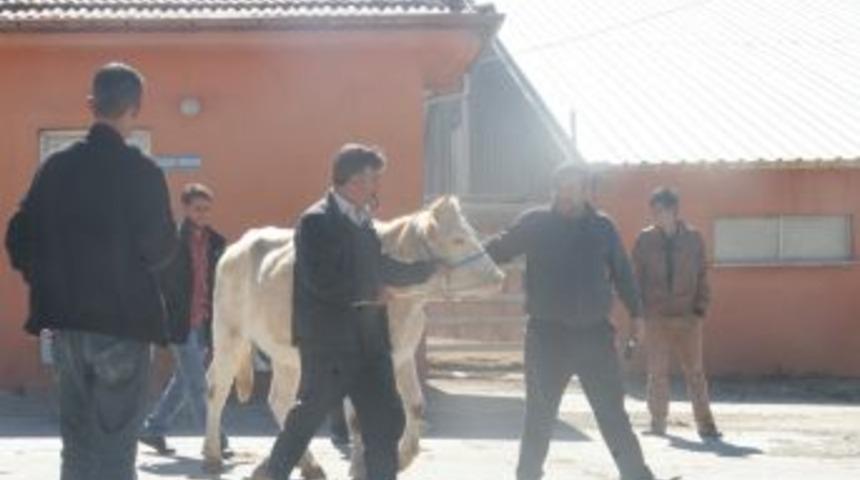 Kurban Timi Bayrama Hazır