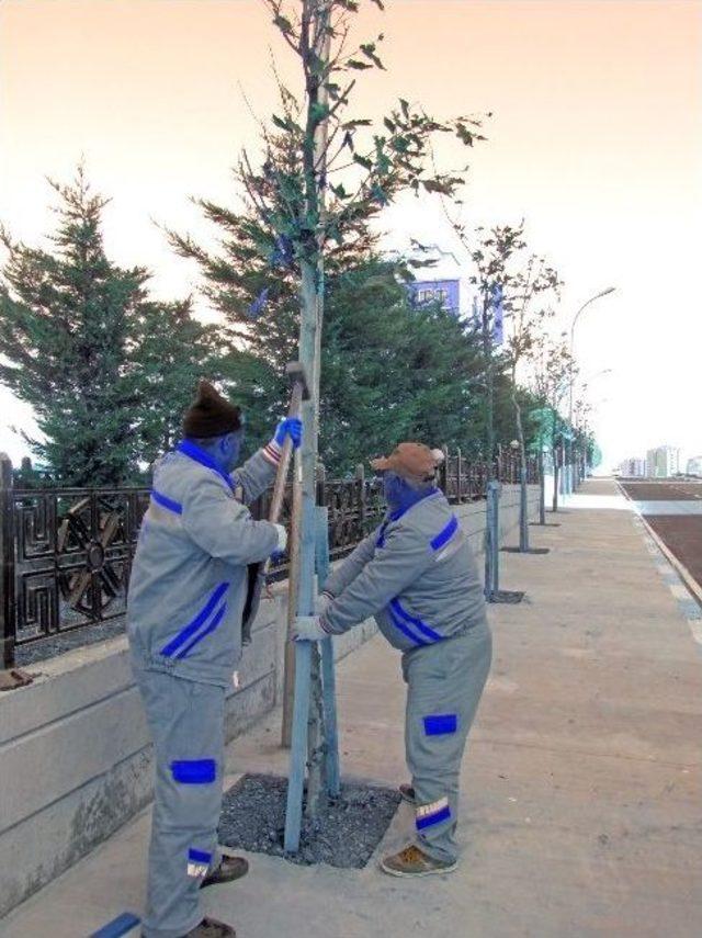 Beylikd&uuml;z&uuml; Yeşilleniyor 1