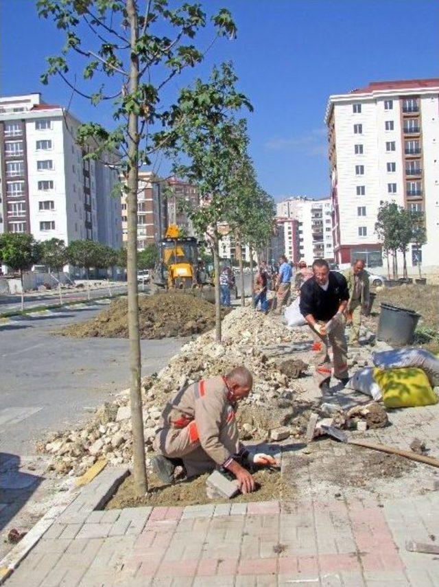 Beylikd&uuml;z&uuml; Yeşilleniyor 2