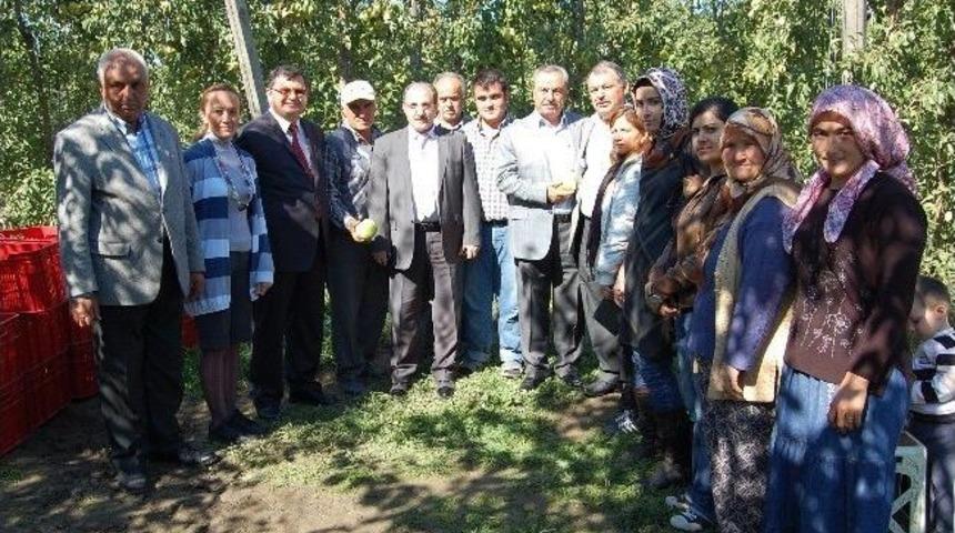 Kayık&ccedil;ılar K&ouml;y&uuml;nde Meyve Hasadı Yapıldı