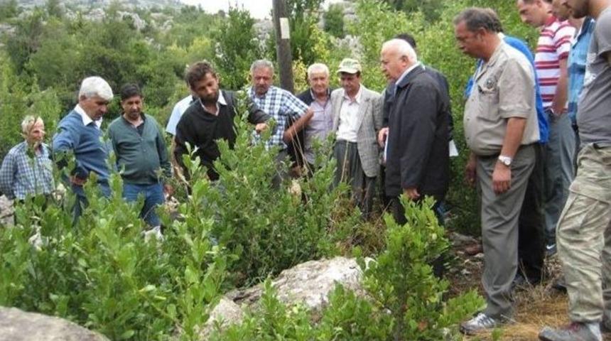 K&ouml;yl&uuml;lere Defne Hasadı Eğitimi
