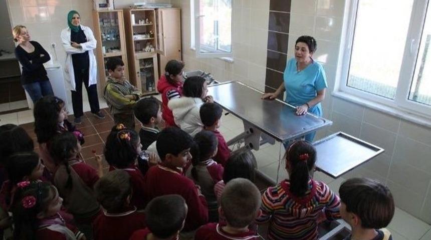 Hayvanları Koruma G&uuml;n&uuml; Kapsamında Minikler Hayvan Barınağını Ziyaret Etti