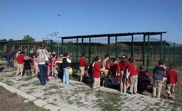 Hayvanları Koruma Günü Kapsamında Minikler Hayvan Barınağını Ziyaret Etti