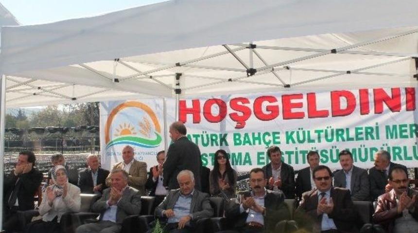 T&uuml;rkiye'nin İlk Geofit Bah&ccedil;esi Yalova'ya Kuruluyor