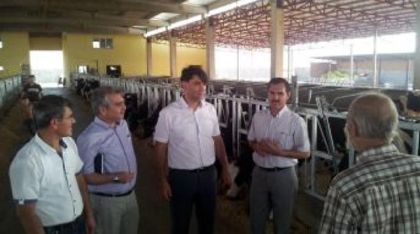 Bayram &Ouml;ncesi Kurbanlık Yetiştiren Işletmeler Bilgilendirildi