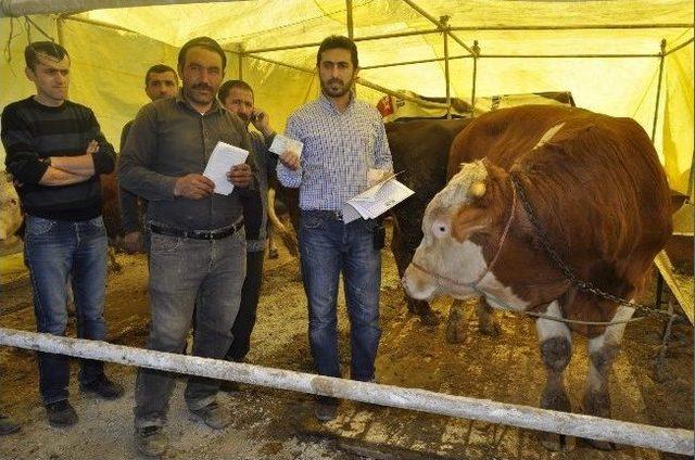 Sivil Polis Kurban Pazarlığı Yaptı, Satıcı Parayı Kontrol Etmeden Cebine Attı 2