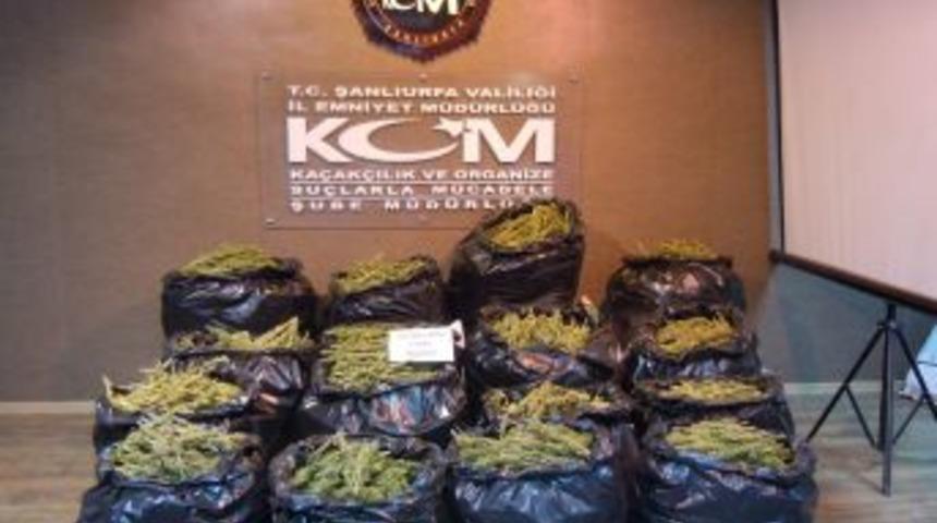 Şanlıurfa&rsquo;da 1 Tonu Aşkın Uyuşturucu Ele Ge&ccedil;irildi