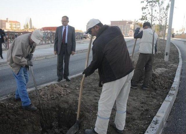 Cbü Hafsa Sultan Hastanesi’ne Belediye Desteği