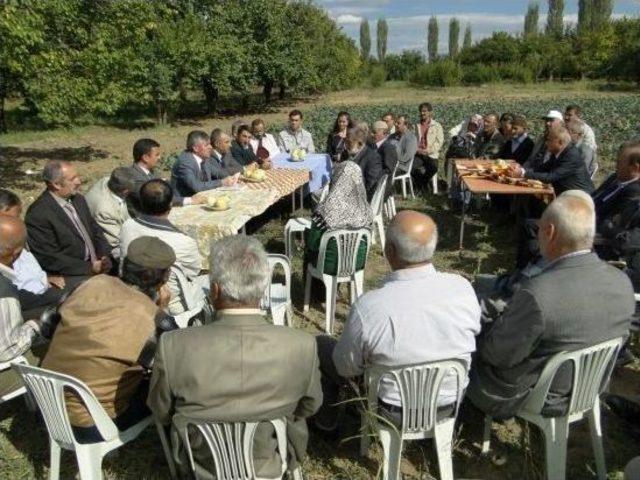 Pepino Ve Brokoli Yetiştiricilğinde Üstün Verim Alındı