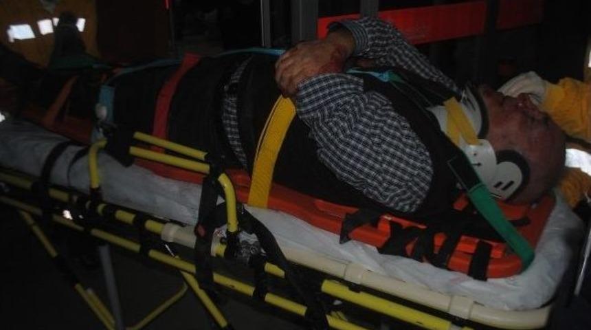 Otomobil, Yola Aniden Fırlayan Ata &Ccedil;arptı