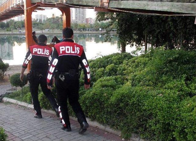 Polisin 