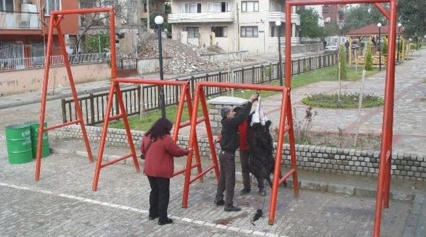 Kurban Kesimleri Bilin&ccedil;li Yapılmalı