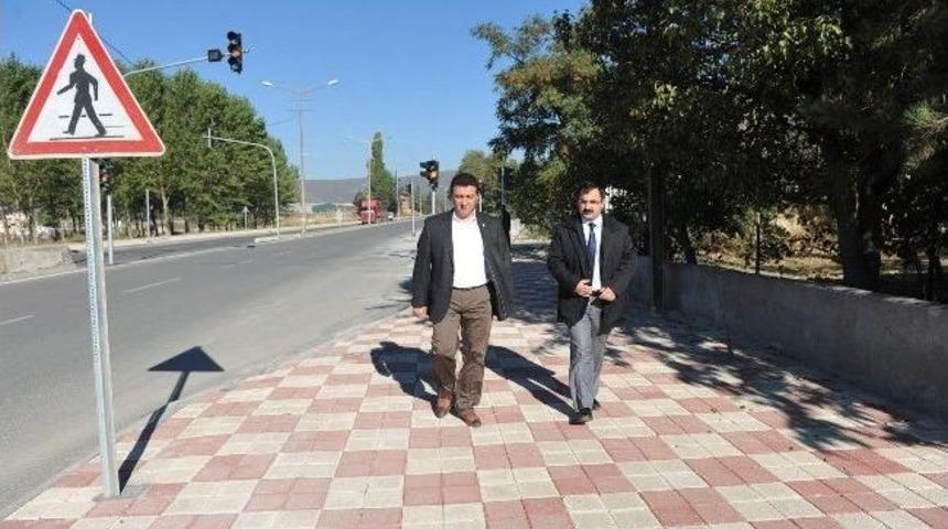 Başkan Vekili Bakıcı Fidan Dikim Yerlerini Belirledi