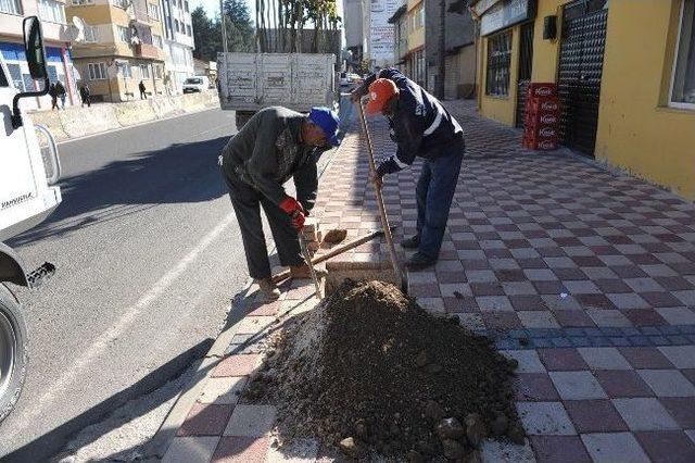 Başkan Vekili Bakıcı Fidan Dikim Yerlerini Belirledi 3
