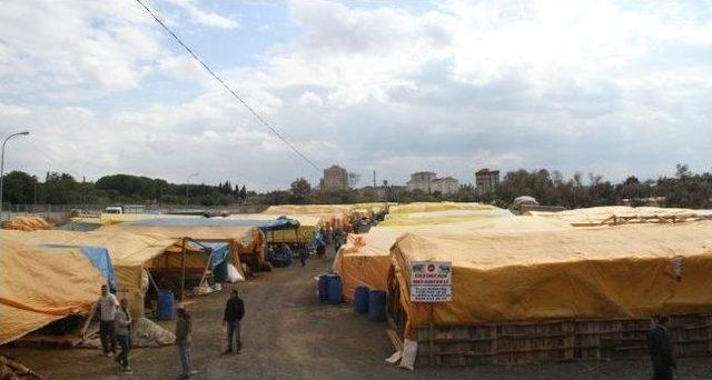 Kartal Belediyesi Kurban Alanları Halkın Hizmetinde