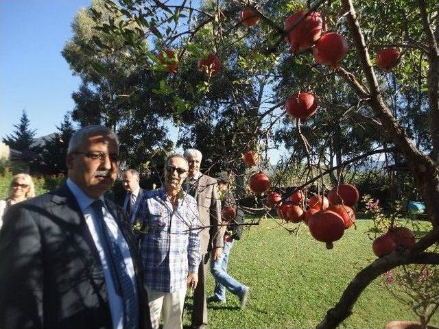 Vali Güvençer, Ortaca Ve Dalyan’da İncelemelerde Bulundu