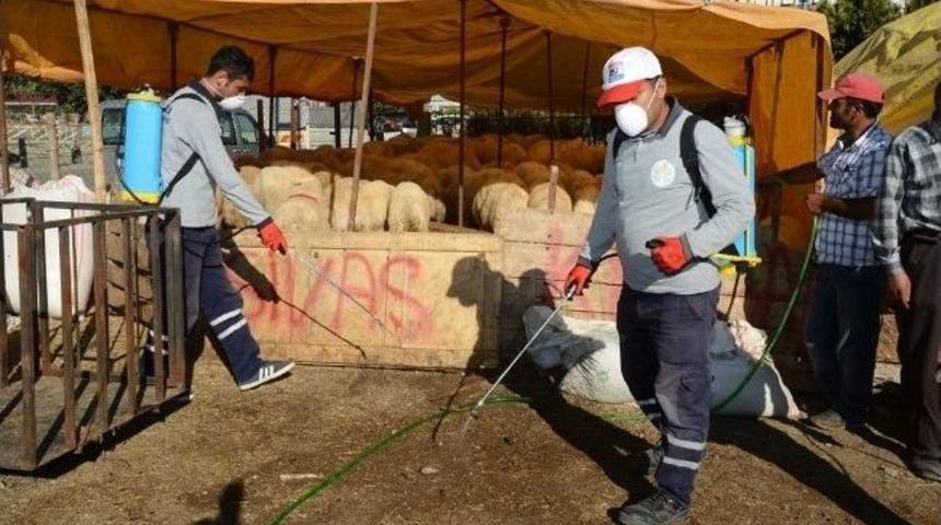 Kurban Satış Noktaları İla&ccedil;lanıyor