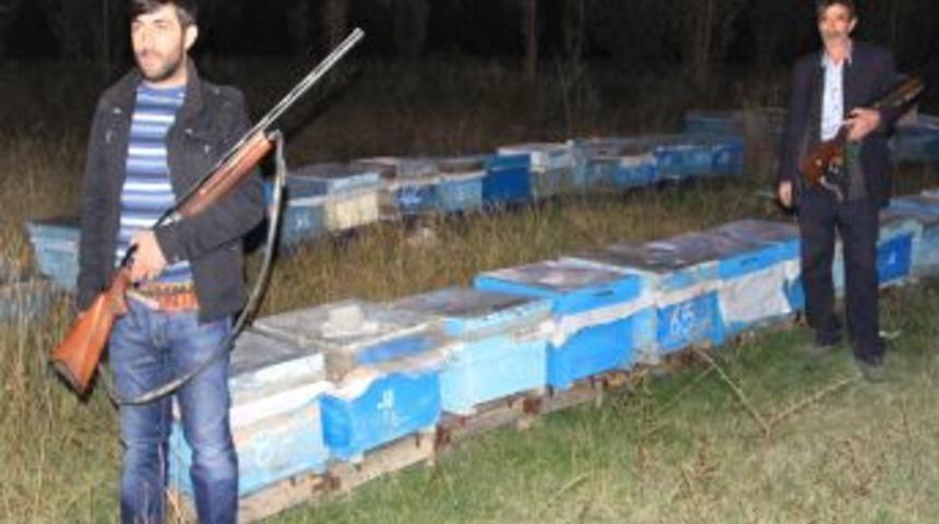 Bal hırsızı ayılara karşı silahlı n&ouml;bet tutuyorlar