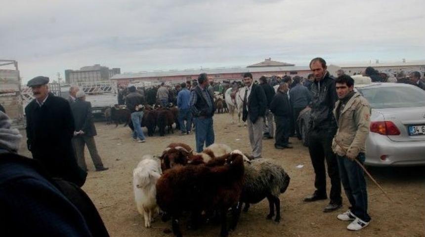 Iğdır'da Canlı Hayvan Pazarında Kurban Hareketliliği