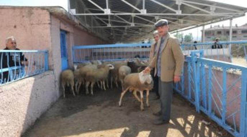 Mezbaha Kurban bayramına hazır...