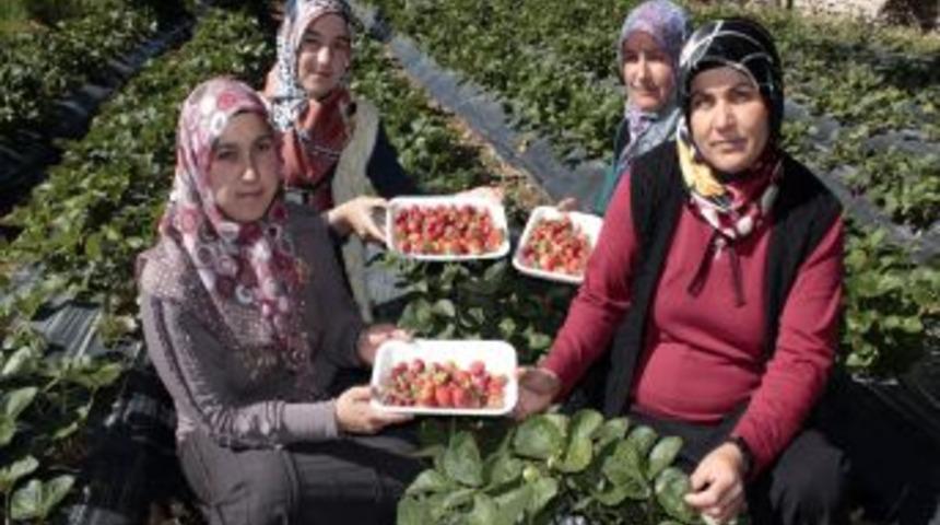 M&uuml;d&uuml;rl&uuml;k Destek Verdi, 11 Kadın &Ccedil;ilek &Uuml;reticisi Oldu