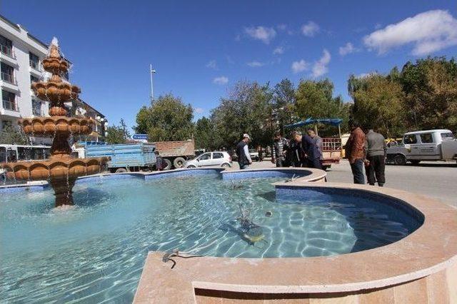 Orta Refüjler Değişiyor 1