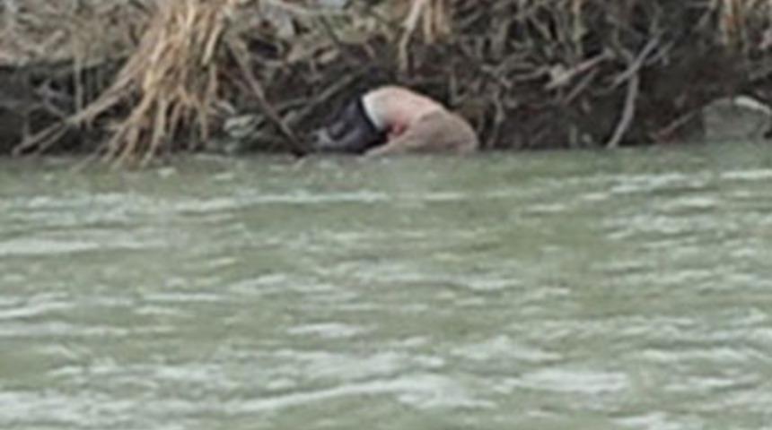 Karak&ouml;y sahilinde ceset bulundu