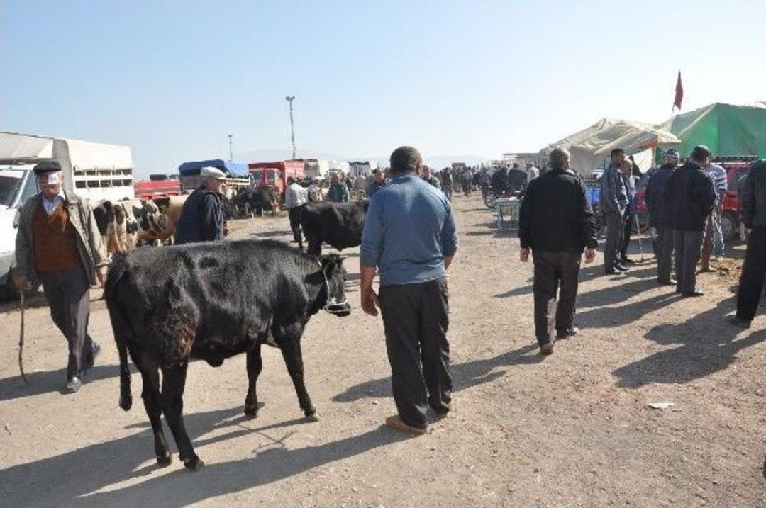 Soma Kurban Pazarında Hareketlilik Arttı