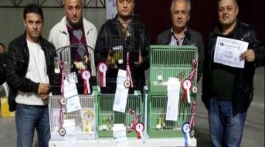 Kuşların G&uuml;zellik Yarışmasında Zonguldak 6 Madalya Kazandı