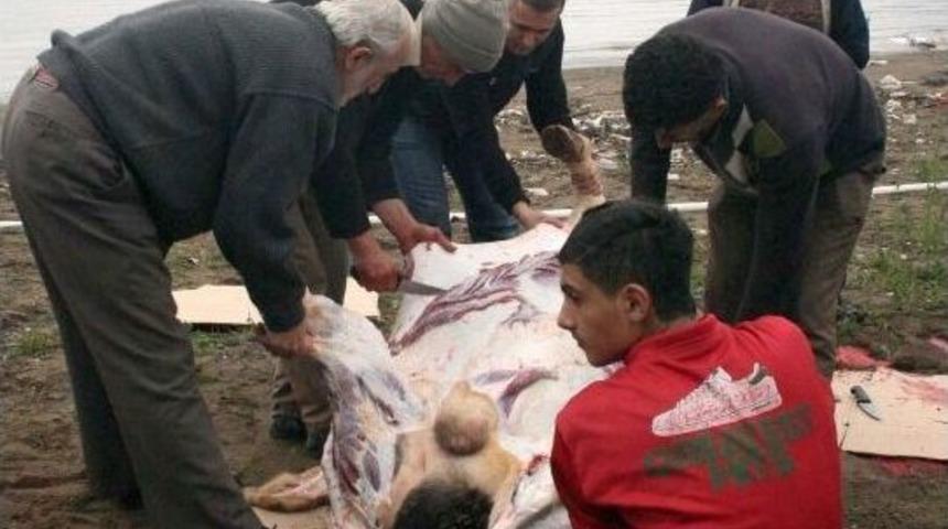 Gaski, Kurban Atıkları İ&ccedil;in Uyardı