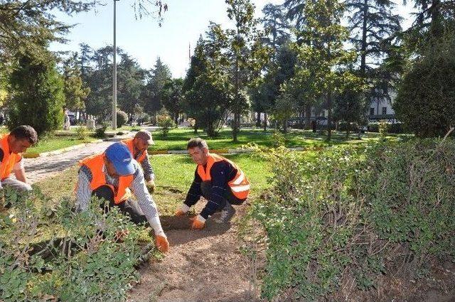 Erbaa'da Bayram Hazırlıkları