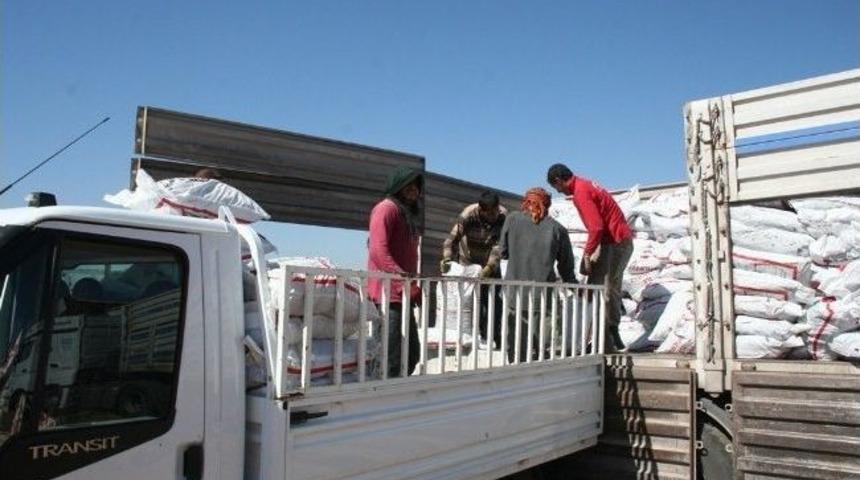 Reyhanlı&rsquo;da K&ouml;m&uuml;r Dağıtımına Başlandı