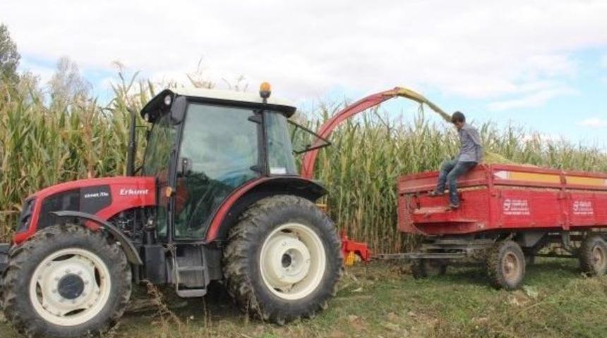 Muş&rsquo;ta Silajlık Mısır Ekildi